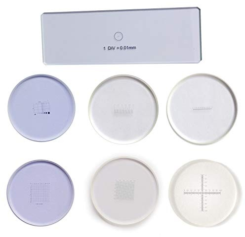 MUHWA Mikroskop-Mikrometer-Set: 1 Objektmikrometer 0,01 mm + 6 Okularmikrometer Ø19 mm, optisches Glas