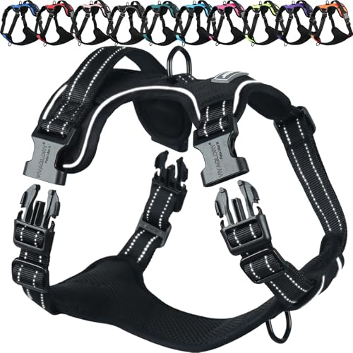 VIVAGLORY Anti Zieh Geschirr für Hunde Hundegeschirr, M, Schwarz, B | Antizuggeschirr mit Gepolstert Griff & Brustring, Anti Zieh Mitwachsend Ausbruchsicher & Reflektierend für Welpe Hund
