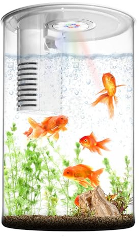 Fish Tank Nachtlicht, Zingbabu 3 Gallonen Aquarium Starter Kit mit vollem Spektrum Aquarium Licht und Filter für kleine Fische Betta Kinderzimmer Desktop Dekor Weiß