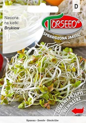 Verdica Rübensamen-Sprossen (Brassica rapa) – Knackige Textur, Reich an Vitaminen und Mineralien, Ideal für die Anzucht im Innenbereich, Nicht-GVO Qualität zertifiziert (10 Gramm)