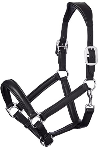 Lemieux Anatomisches Halfter für Pferde in Schwarz - Gepolstertes Leder & Metallbeschläge - Verstellbar - Cob