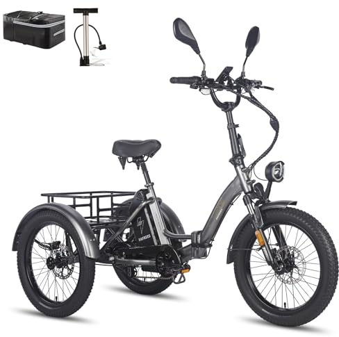 Fafrees F20 Mate E Bike Dreirad für Erwachsene 48V Zulassung [ Offiziell ] Herren E Bike Damen, Elektrofahrrad 3 Rädern 65N.m, Elektro Dreirad 20 Zoll, Ebike Lastenfahrrad IPX5, Fahrrad Fatbike 180kg