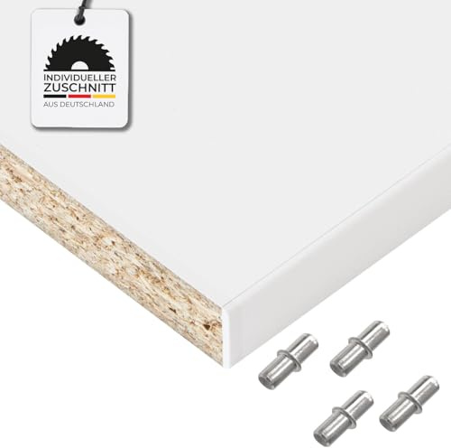 Hausfux Einlegeboden, Regalboden nach Maß - 1,9 cm Starke Spanplatte, melaminbeschichtet, einseitige ABS-Kante - Made in Germany - Maßanfertigung - für Möbelbau (ICY White, 60 x 30 cm)