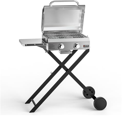 onlyfire 2-Brenner Gasgrill Klein aus Edelstahl 4,7 kW mit Faltbarem Wagen, Seitenablagen und Grillrost, Gartengrill, Outdoor Gasgrill für Balkon Camping