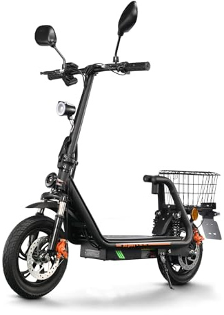 TWOFISH E Scooter mit Straßenzulassung(EEC), Elektroroller für Erwachsene mit 48V 13Ah Akku, 30 km Reichweite, Elektro Scooter mit 12 Zoll Reifen, 3 Geschwindigkeiten, M5-PRO-E
