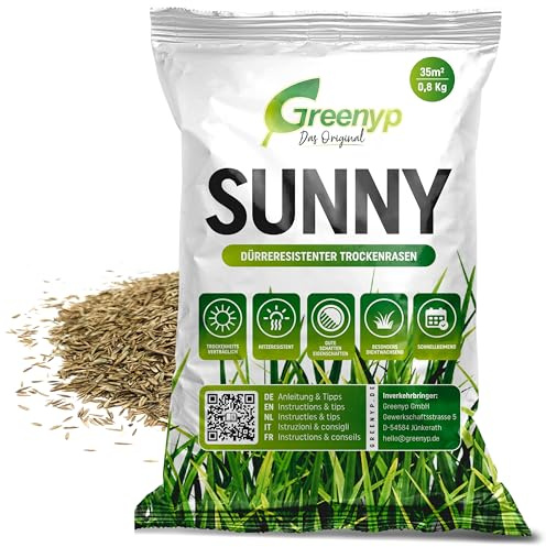 Greenyp® Sunny I dürreresistenter Trockenrasen I 0,8kg für 35m² I Grassamen Rasensamen Rasensaat Gras Nachsaat schnellkeimend
