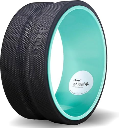 Chirp Wheel Foam Roller – Gezielte Rückenmassagerolle zur Linderung von Nacken- und Rückenbeschwerden – Physiotherapie- und Trainingsgerät mit hoher Dichte – 10 Zoll