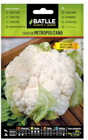 Batlle Gemüsesamen - Metropol Blumenkohl (1050 Samen)