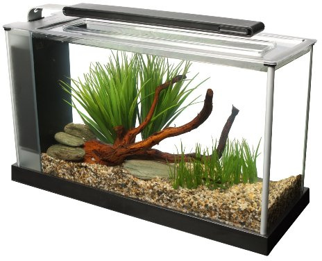 Fluval Spec 5 Nano Aquarium, mit 19L Fassungsvermoegen, in schwarz | Aquarium mit LED-Beleuchtung und 3-stufigem Filtersystem