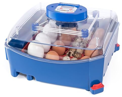 Borotto Lumia 16 | Brutautomat Vollautomatisch, Inkubator für 16 Eier oder 64 Kleine Eier mit Automatischem Eierwendemechanismus und Temperaturregelung | Hergestellt in Italien