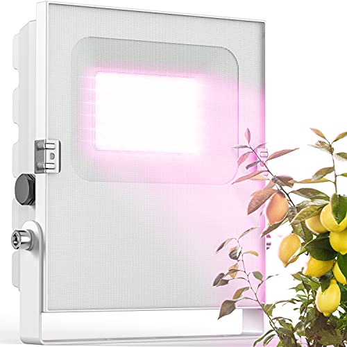 Meine Orangerie - LED Pflanzenlampe zur Überwinterung von mediterranen Pflanzen - Entwickelt mit den Zitruspflanzen-Profis Vollspektrum Pflanzenlicht (35)