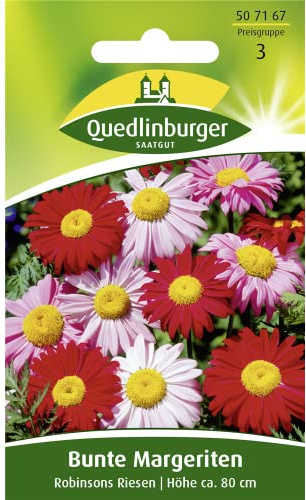 Bunte Margerite, Robinsons Riesen