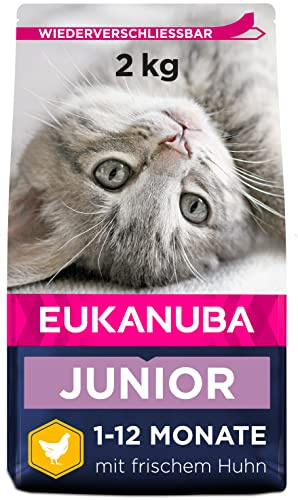 Eukanuba Junior Katzenfutter trocken, 2 kg | Premium Trockenfutter | für Kitten von 1-12 Monaten | fördert gesundes Wachstum | hoher Fleischanteil