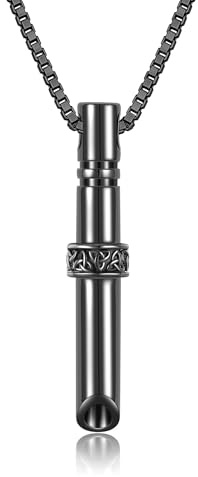 DAYLINLOVE Männer Halskette 925 Sterling Silber Cool Schmuck Geschenke für Männer