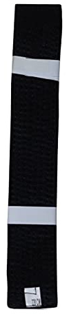 Lisaro kampfsportgürtel Karate Judo Taekwondo Ju Jutsu BJJ Gürtel Gr. 160-300 cm (schwarz, 320)