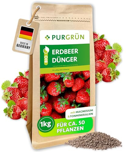 Purgrün® Bio-Erdbeerdünger 1 kg – Organisch-mineralische Rezeptur – Feinkörniges Krümelgranulat – NPK 6+3+8 – Mit Magnesium für saftige, süße Erdbeeren – Verbessert die Bodenqualität