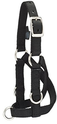 Weaver Leather Halfter für Viehtiere, Schaf- und Ziegentraining, klein, Schwarz