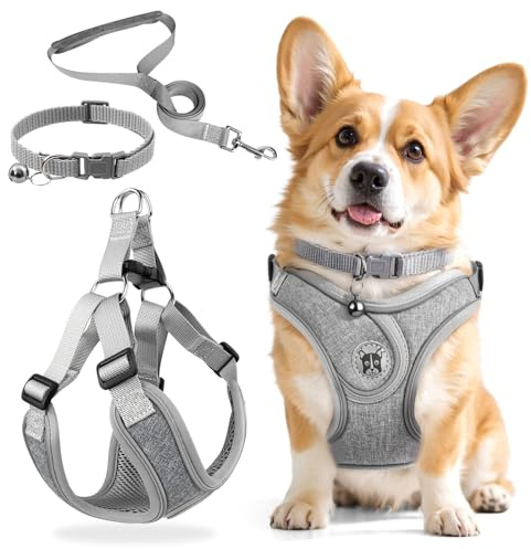 3 Stück Hundegeschirr und Leine Set, Verstellbares Brustgeschirr, Reflektierendes atmungsaktives Hundegeschirr mit D-Ring, Hundegeschirrs Set für Welpen, Kleine Hunde