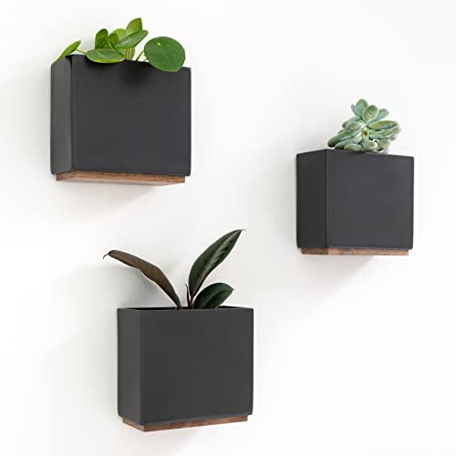 Kazai. Wandvasen -Alma- | Moderne Hängende Blumentöpfe für die Wand | 3-teiliges Übertopf-Set aus hochwertigem Resin für Zimmerpflanzen, Kunstpflanzen, Blumen u.m. | Schwarz