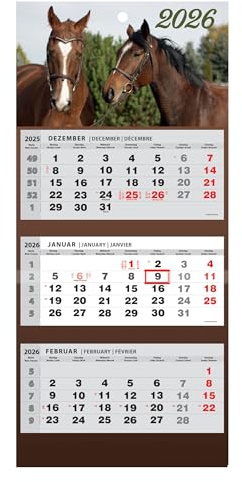 Kalender 2026 Wandkalender 3-Monats-Kalender Wandplaner Dreimonatskalender (Pferde)