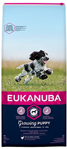 Eukanuba Welpenfutter mit frischem Huhn für mittelgroße Rassen, Premium Trockenfutter für Junior Hunde, 15 kg