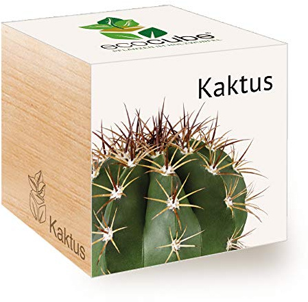 Feel Green Ecocube Kaktus, Nachhaltige Geschenkidee (100% Eco Friendly), Grow Your Own/Anzuchtset, Pflanzen Im Holzwürfel, Made in Austria