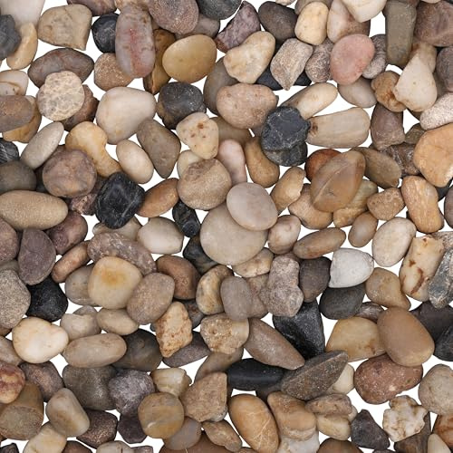 Belle Vous Dekorativer Kies, natürlich, (Beutel mit 3,6 kg), verschiedene Mini-Dekosteine für Vasen von 1,4 – 2,6 cm – dekorative Flusssteine für Pflanzen, Garten, Aquarium, Innen & Außen