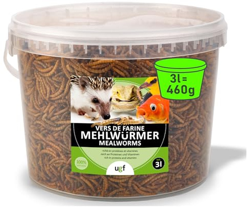 UGF - Premium Mehlwürmer Getrocknet - 460g im 3 Liter Eimer, Vogelfutter Wildvögel Ganzjährig, Igelfutter, Eichhörnchen Futter, Hamster Futter