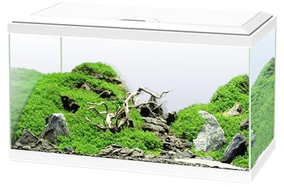Ciano, Aquarium 60 weiß, für Fische, ausgestattet mit Filter, Verbrauchsmaterial, LED und Heizung, 58 l, verstärkte Verpackung für den Internetversand