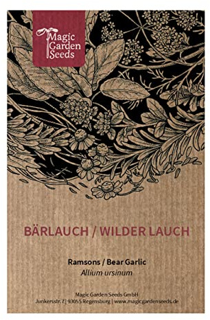 Bärlauch/Wilder Lauch (Allium ursinum) - ca. 100 Samen