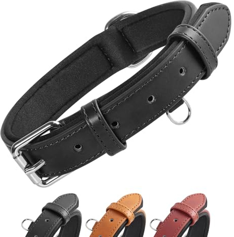 Grand Line Leder Hundehalsband, Lederhalsband Hund mit Weichem Gepolstertes, Breiter und Dicker Hundehalsband, Verstellbares Halsband Hunde für Kleine, Mittlere, Große Hunde (Schwarz, M)
