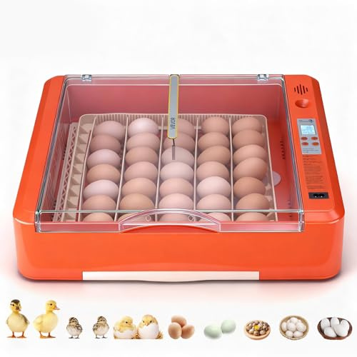 VEVOR Brutautomat Vollautomatisch 36-Eier, Eierinkubator, mit Eierwender, Temperatur- & Feuchtigkeitsregelung, Inkubator Brutmaschine zum Ausbrüten von Küken, Enten, Gänsen & Wachteln