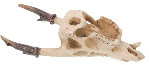 Levemolo Realistisches Reptilienversteck Schädel aus Kunstharz Mittel Schlangenhöhle und Froschversteck für Bartagamen und Schildkröten Terrarium