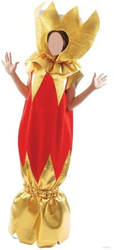 SANSIWU Weihnachtskostüm für Erwachsene, Unisex, Knallbonbon, Neuheit, Kostüm, Urlaub, Weihnachten, Cosplay-Kostüm (Gold, L)