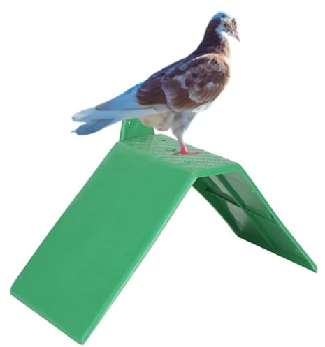 10 Stück Vogelsitzstangen, Kunststoff Vogeltaubenständer Taubenständer Zubehör Taubenablage Ständer Rahmen Grill Dwelling Taube Sitzstangen Schlafplatz Vogel Haustier Ständer Taubenbirchen