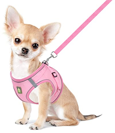 FEimaX Hundegeschirr mit Leine für Kleine Mittele Hunde Katzen Weich Mesh Welpengeschirr Atmungsaktive Brustgeschirr Verstellbare Reflektierend No Pull Weste Chihuahua Katze