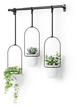 Umbra Triflora Blumenampel, höhenverstellbar, 3er-Set, Weiss/Schwarz | Wand- und Deckenmontage, für Standardtöpfe 7,5 cm, seitlich verschiebbar, inklusive Befestigungsmaterial