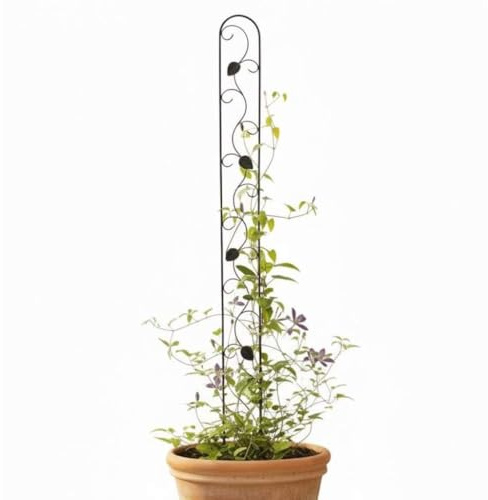 DanDiBo Rankhilfe Kletterhilfe Metall Schwarz Schmal 150 cm Bodenstecker 96249 Gartenstecker Rankgitter Kletterpflanzen Blumenhalter Ranksäule Garten Blumen Pflanzen