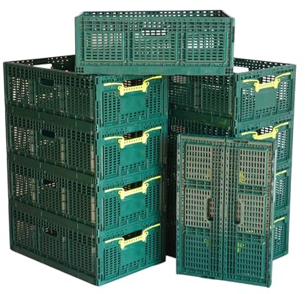 Logiplast 10 x Stabile Klappbox aus Kunststoff 60x40x21,9 cm Gemüsekiste Faltbox