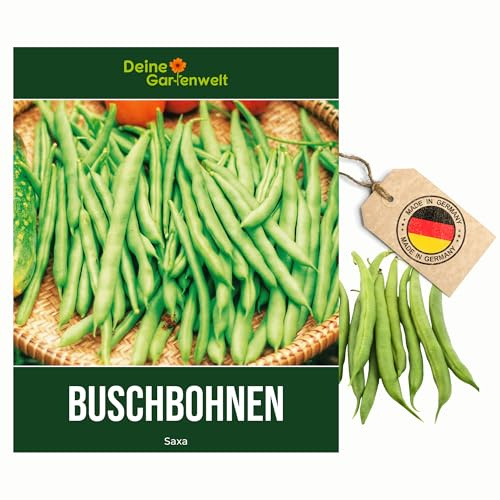 Buschbohnen Saxa Samen - Phaseolus vulgaris - Bohnensamen - Gemüsesamen - Saatgut für 50 Pflanzen