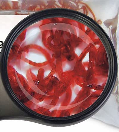 Sahawa® Lebendfutter für Fische – 10 Beutel à 45 ml (4× Rote Mückenlarven, 4× Weiße Mückenlarven, 2× Tubifex) – Lebendes Fischfutter für Aquarienfische