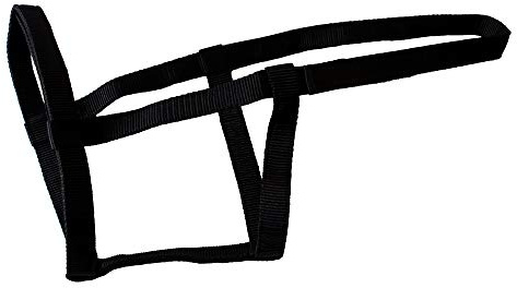 Rhinegold Field Safe Halfter, Cob-Schwarz