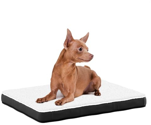 Avalo Orthopädisches Hundebett S - 45x65 cm - Waschbar/Memory Foam/Anti-Rutsch - Orthopädisches Hundekissen