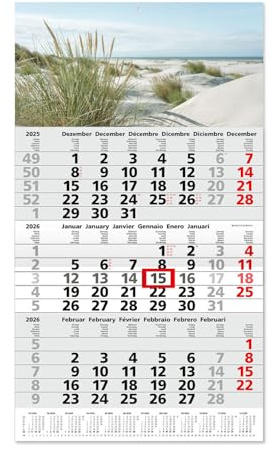 Timr 3-Monatskalender 2026 Jahresübersicht - 53 cm - International mehrsprachig D/GB/F/I/E/NL - Wandkalender mit Schieber - Motiv Dünen I tr340