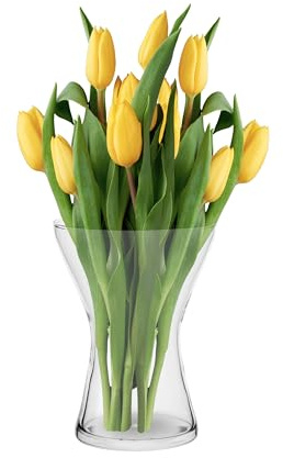 Trend For Home Blumenvase Vase Glas 19 cm Glasvase für Blumen Glas, Dekorative Tischvase, Klare Glasvase Wohnzimmerdeko, Aster, 1325 ml