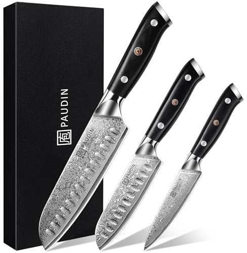 PAUDIN Damastmesser set, Messerset 3-teilig, Damast Küchenmesserset mit Ultra Scharfes Santokumesser Küchenmesser aus 67 Schichten Damaststahl mit Japanischem VG10 Stahl Kern, Ergonomischer G10 Griff