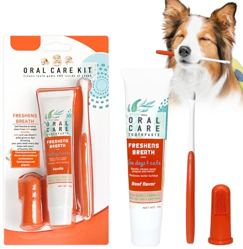 Hund Zahnpflege Set Mit Zahnpasta Und Zahnbürsten | Zahnpasta Hund, Set Mit Zahnbürste, Weiche Borsten, Entfernt Plaque, Für Hunde Katzen