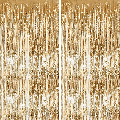 2 Stück Champagnerfarbene Lametta Vorhänge,Metallische Folie Fransen Vorhang Funkeln Vorhängen Dekoration für Geburtstagsfeier Abschlussfeier Hochzeitsfoto Hintergrund Weihnachten Disco Party(1m x 2m)