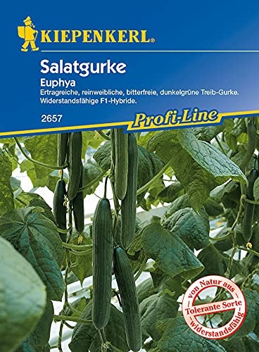 Gurke Euphya | Gurkensamen von Kiepenkerl
