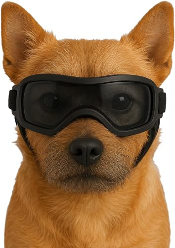 Fohuanky Hundebrille für kleine und mittelgroße Rassen, verstellbare Haustier-Sonnenbrille mit UV-Schutz, Hundebrille für Reisen, Wandern, Outdoor-Spaß (Schwarz, S)